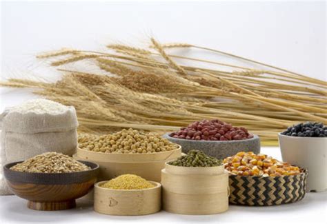 稻麦黍稷菽是指什么 - 业百科