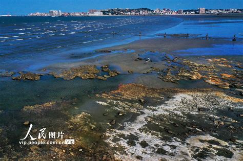 探访福建深沪湾国家海底古森林遗迹自然保护区【6】--图片频道--人民网