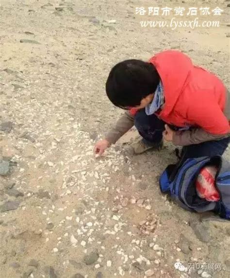 在海边捡石子的小孩高清图片下载-正版图片502217777-摄图网