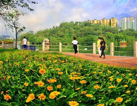 阳江：生态是幸福阳江的调色板-林荫丝路名城 绿筑富美阳江-关注森林网