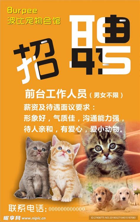 橙黄色宠物店招聘手绘宠物招聘中文手机海报 - 模板 - Canva可画