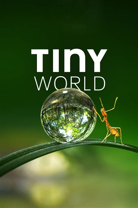 [小小世界 第一季][Tiny World S01][全06集][英语中字][2019][MP4/1080P]-HDSay高清乐园