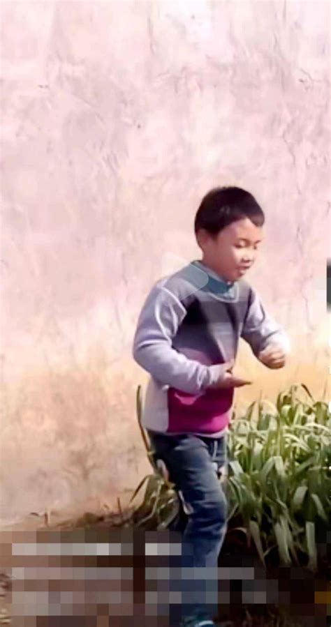 14张照片记录胡鑫宇15年人生路 15岁的生命突然中断令人惋惜|14张|照片-社会资讯-川北在线