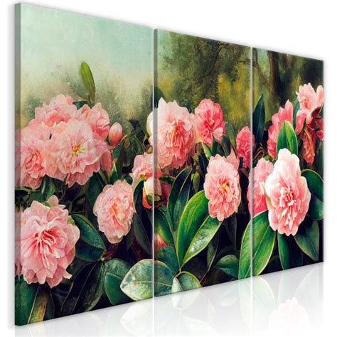 Wandbild Tea Camellias - Colorful Flowers in Full Bloom - Blumen ...