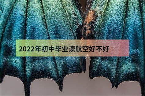 香港航空机票订票指南：Hong Kong Airlines航班查询、订票、支付攻略 - 如何订机票