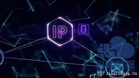 代理IP与IP地址的关系 - IP海
