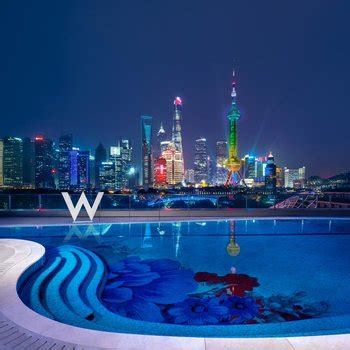 上海佘山世茂洲际酒店-上海天奥信息科技有限公司