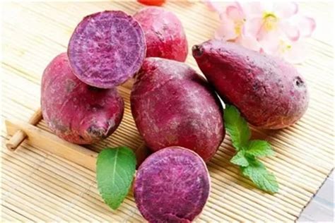 紫薯和红薯哪个更减肥-六六健康网
