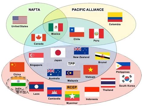 全球最大自贸协定达成，15国正式签署RCEP