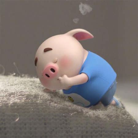 微信非主流头像猪猪