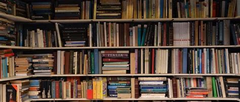 书是进步的阶梯，你是否应该添个书柜？_房产资讯_房天下