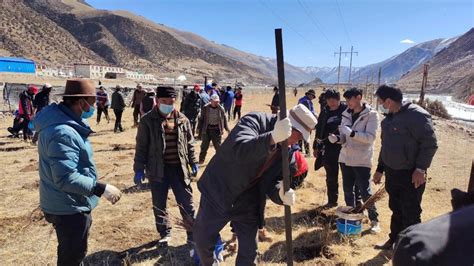西藏阿里联网工程的坚守者_电力_能源频道