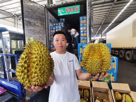 越南金枕榴莲淡季价格飙升50% 中国春节市场榴莲需求旺盛 - 亚洲水果