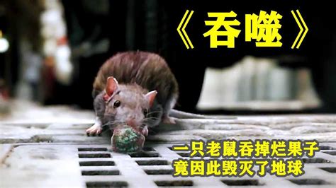 一只闲逛的小老鼠，无意间吃下一颗发霉果实，导致地球被毁灭#电影HOT短视频大赛 第二阶段#_高清1080P在线观看平台_腾讯视频