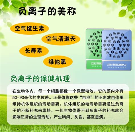 中国的负离子活氧机生产厂_其他仪器仪表_维库仪器仪表网