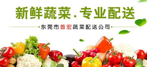 蔬菜配送展板设计图__海报设计_广告设计_设计图库_昵图网nipic.com
