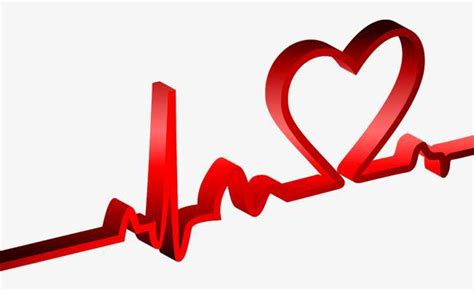 窦性心动过缓，心跳只有50次，是心脏病吗？|窦性|窦房结|心脏 ...