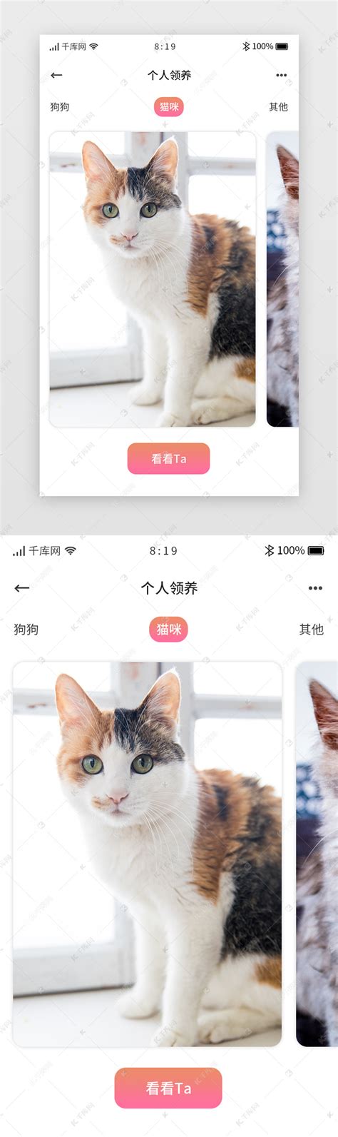 UI设计宠物领养收养类手机APP界面模板素材-正版图片401506888-摄图网