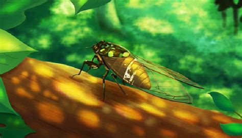 金蝉养殖方法、金蝉蝉蚁的播撒与人工饲养方式？ - 金蝉 - 蛇农网