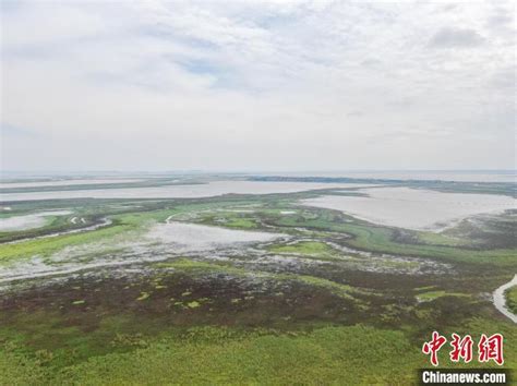 丰茂草原、黄河文化、民族特色融汇共生—— “大草原”文旅发展联盟成立 造就最美“黄河天路”藏地阳光新闻网