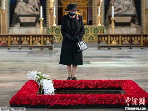 英女王向无名烈士墓碑献花 首次公开戴口罩亮相(图)_手机新浪网