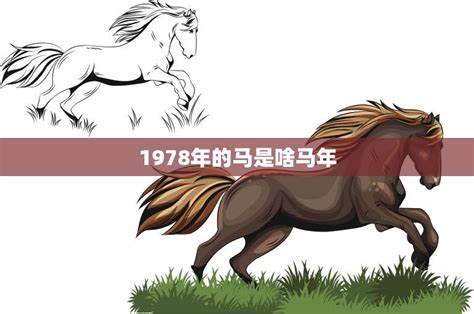 1978年的马是啥马年(解析中国传统十二生肖)