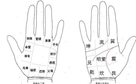 手相详解：左手还是右手？左手手相手纹详解(组图)