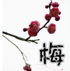 非主流头像带梅