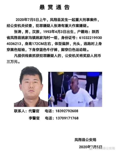 重大刑事案件！嫌疑人在逃|延安市|陕西省|刑事案件_新浪新闻