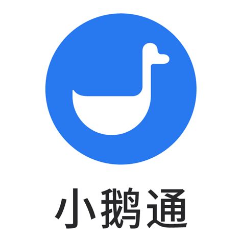 网鱼科技（广州）有限公司 - 爱企查