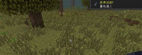 我的世界暮色森林幻影骑士迷宫怎么进_MC暮色森林幻影骑士迷宫进入方法_3DM网游