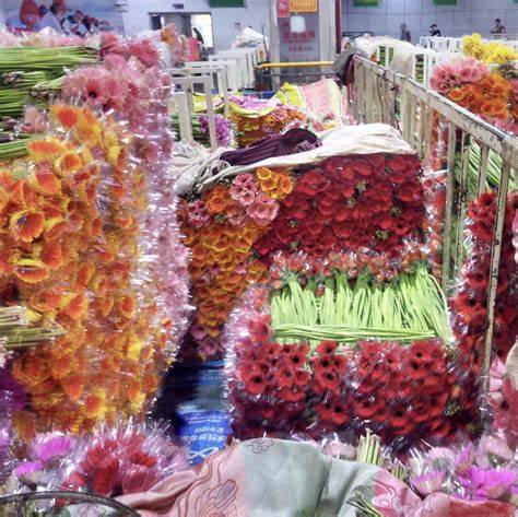 昆明斗南花卉市场哪个最大