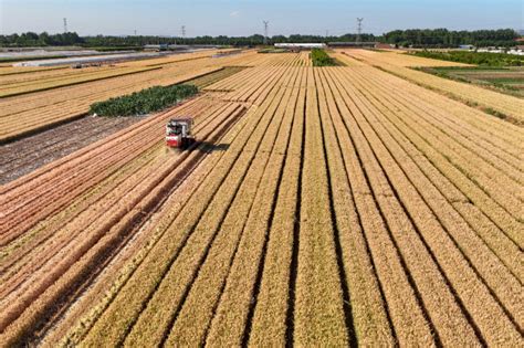 全国麦收进度过半！连续8天日机收面积超1000万亩
