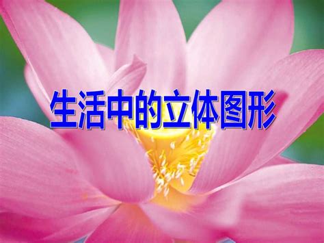 生活中的立体图形图片