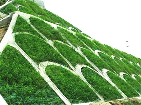 护坡固土草坪_护坡草坪用什么品种的草坪好 - 惠州茂沁绿化草业有限公司