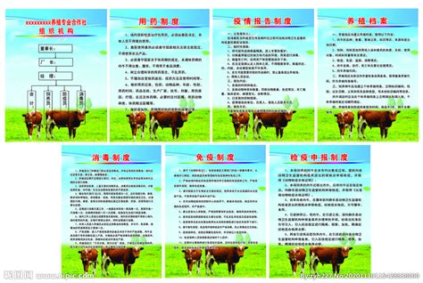 智能化养殖—农业物联网智能畜牧业领航者-南京及时雨农业科技有限公司
