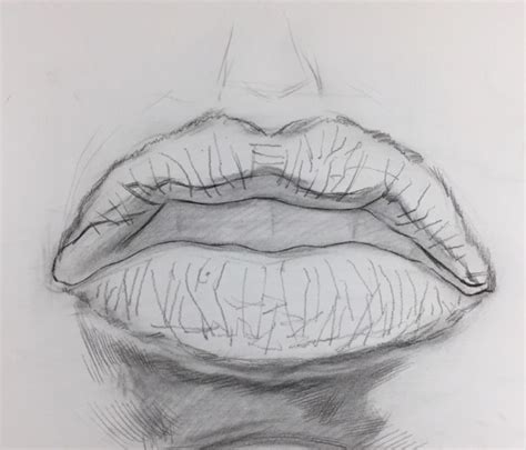 逼真素描嘴唇的画法-露西学画画