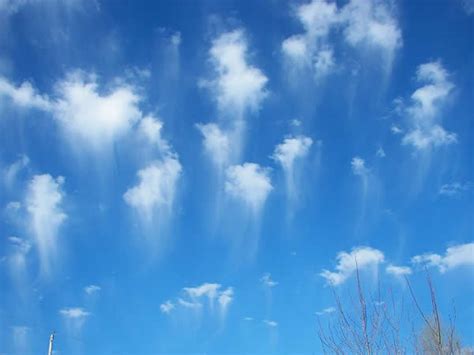 台北上空出现水母云 - 神秘的地球 科学|自然|地理|探索