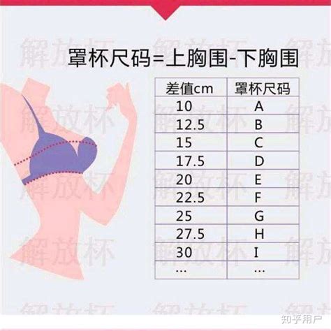 胸部尺寸对照表展示 教你乳房罩杯的计算方法