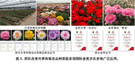 2018年中国花卉生产情况及产业发展战略分析[图]_智研咨询