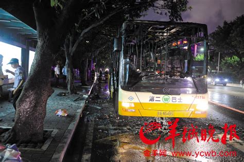 四川乐山公交车爆炸致15人受伤：嫌疑人已被控制 排除暴力恐怖活动
