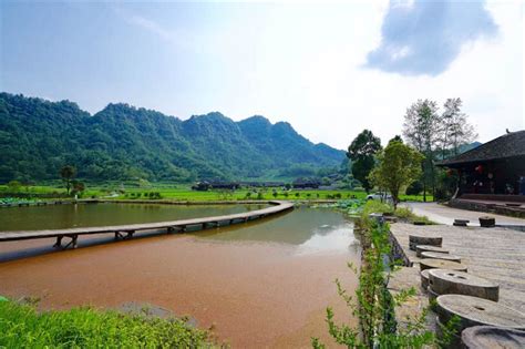 南川金佛山山王坪听松山庄（农家乐），是消夏避暑的绝佳去处