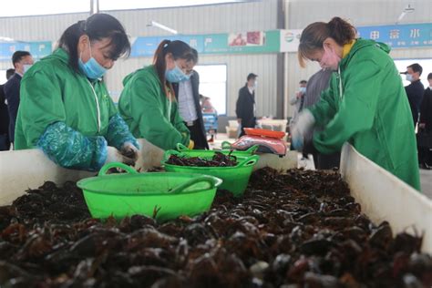 小龙虾带动扶贫大产业！潢川县举行小龙虾产业园2020开园仪式-大河新闻