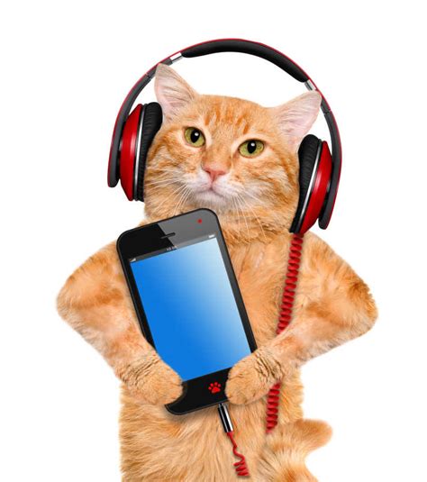 一只猫戴着耳机的图片,戴耳机的猫图片大全,听歌的猫咪图片(第9页)_大山谷图库