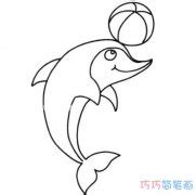 海豚动物简笔画图片