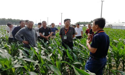 溱东镇鲍庄村：粮食种植专业合作社激发新活力 -盐城新闻网