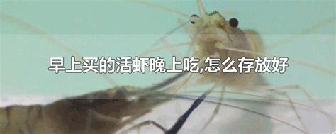 新疆地产虾蟹上市 一部分卖到了北上广-天山网 - 新疆新闻门户