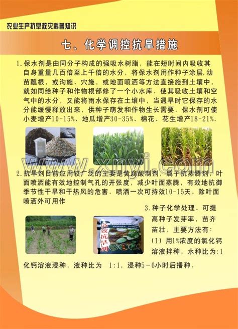 智慧农业宣传展板海报模板下载-编号1397145-众图网