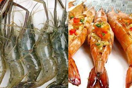 【河虾】【图】河虾和海虾区别 几个不同教你辨别两者_伊秀美食|yxlady.com