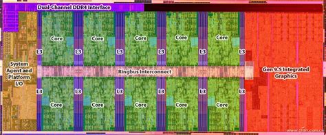 CPU三级缓存技术解析_核显共享三级缓存-CSDN博客
